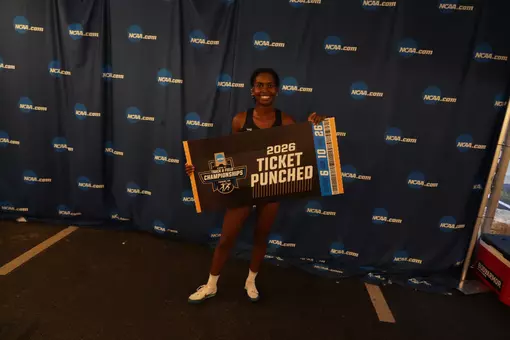 Rosina Ticket Punched