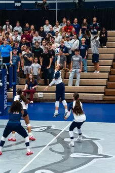 Volleyball