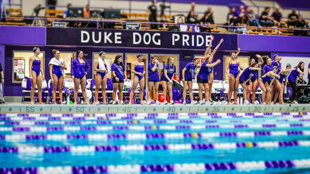 Swimming cheering during a dual meet