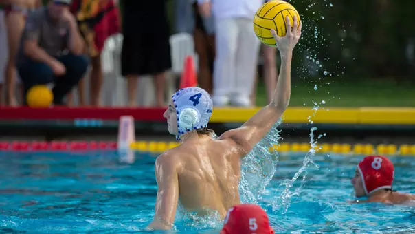 Ferran de Witt Release 2026