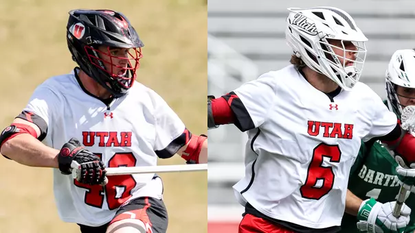 stines diponio draft