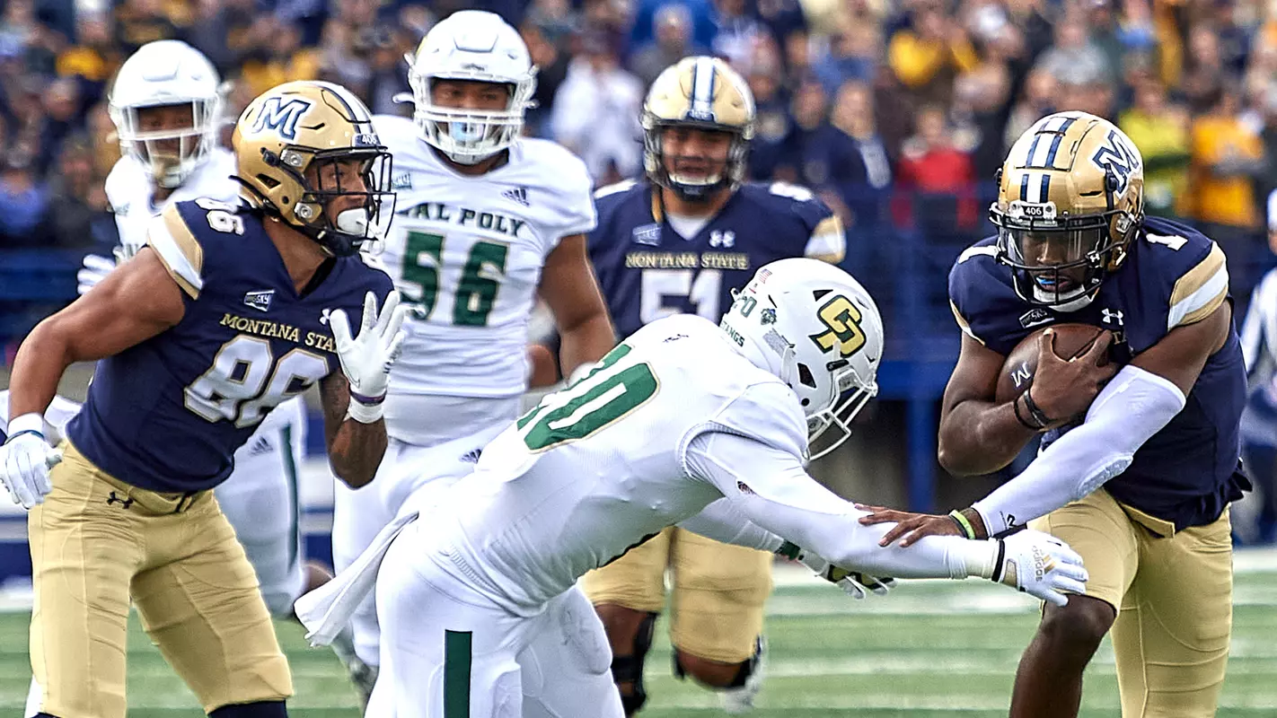 Corey Thomas tackles Montana State quarterback Matthew McKay in Big Sky Conference game Saturday won by the Bobcats, 45-7.