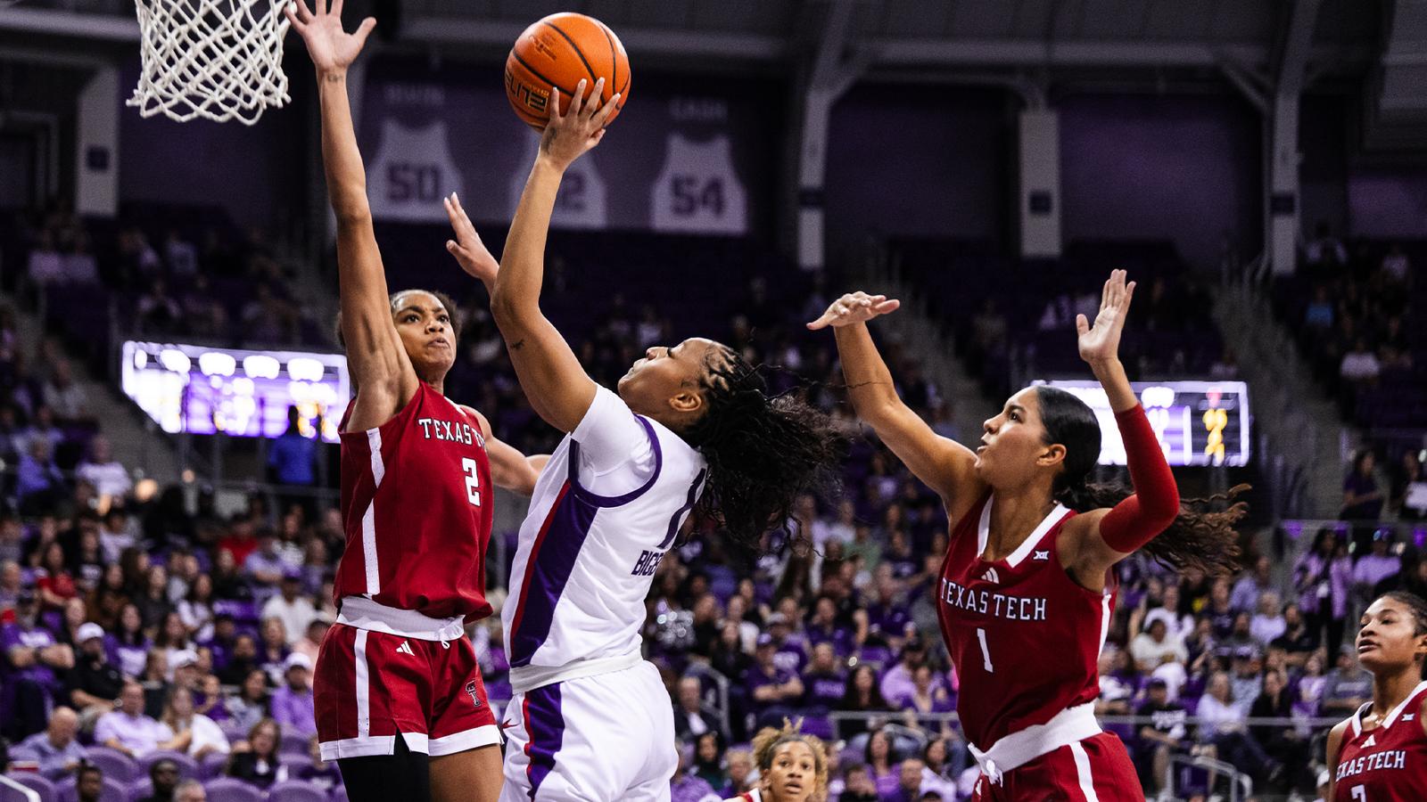 gofrogs.com