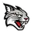 Davidson Logo