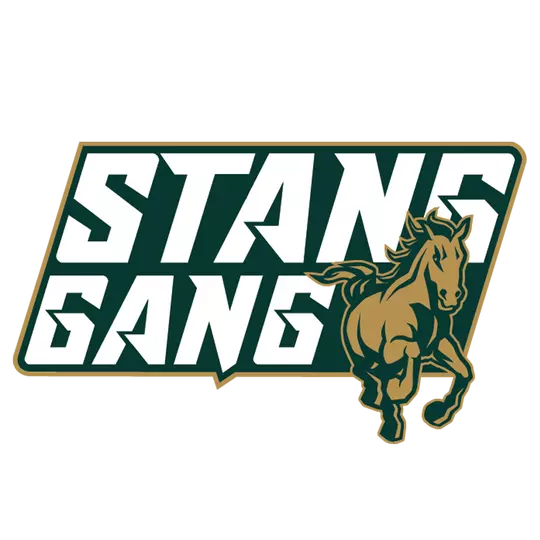 Stang Gang
