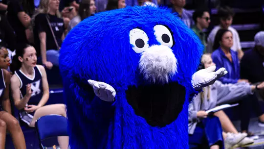 Mascots