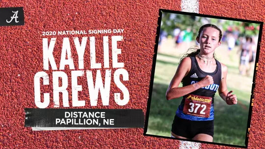 Track NSD
