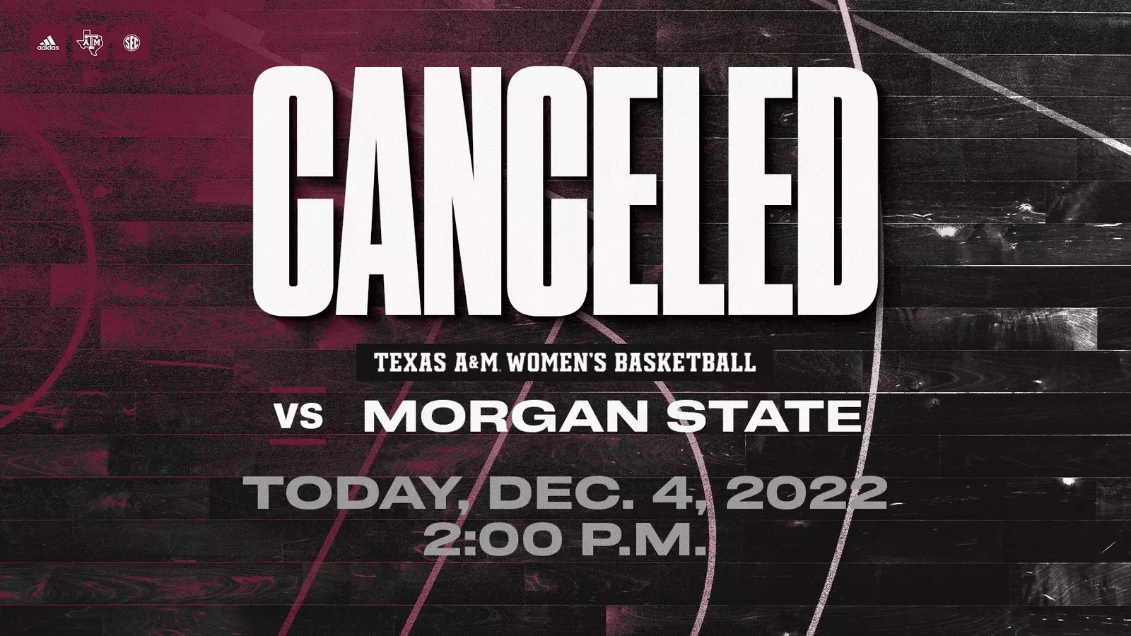 PSE&I SNAP Program Canceled in Texas: A Sudden Shift in State Welfare Support