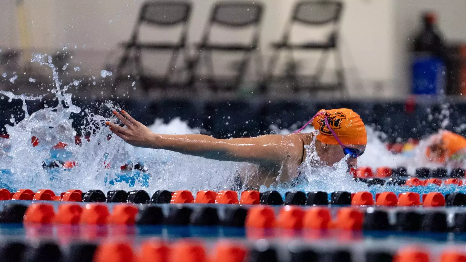 BGSU Swim & Dive Team Dominates Hillsdale in Home Dual Meet