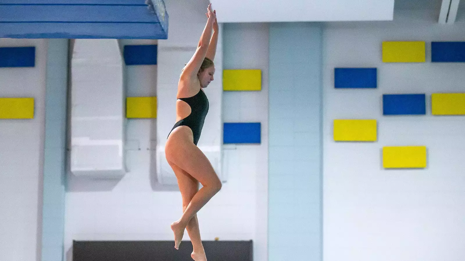 Servas Competes At NCAA Diving Zone Championships University of