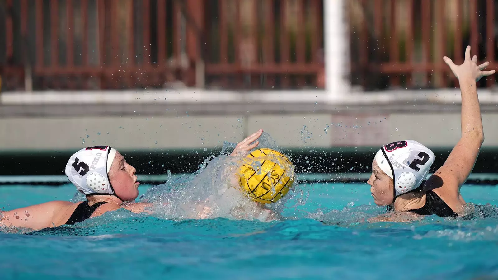 Women's Water Polo Announces 2025 Schedule Brown University Athletics