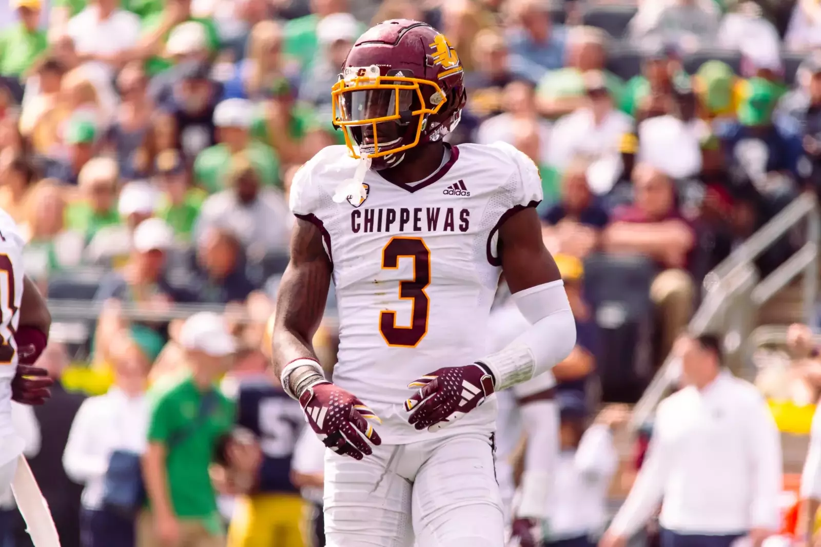 central-michigan-university