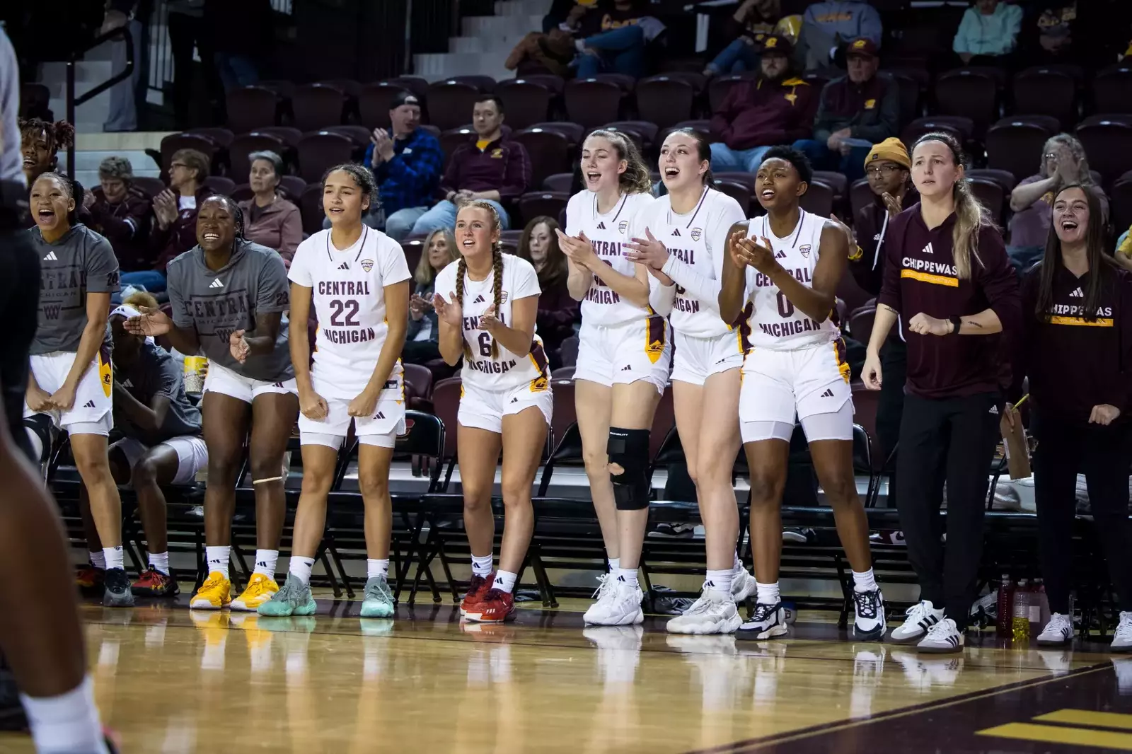 central-michigan-university