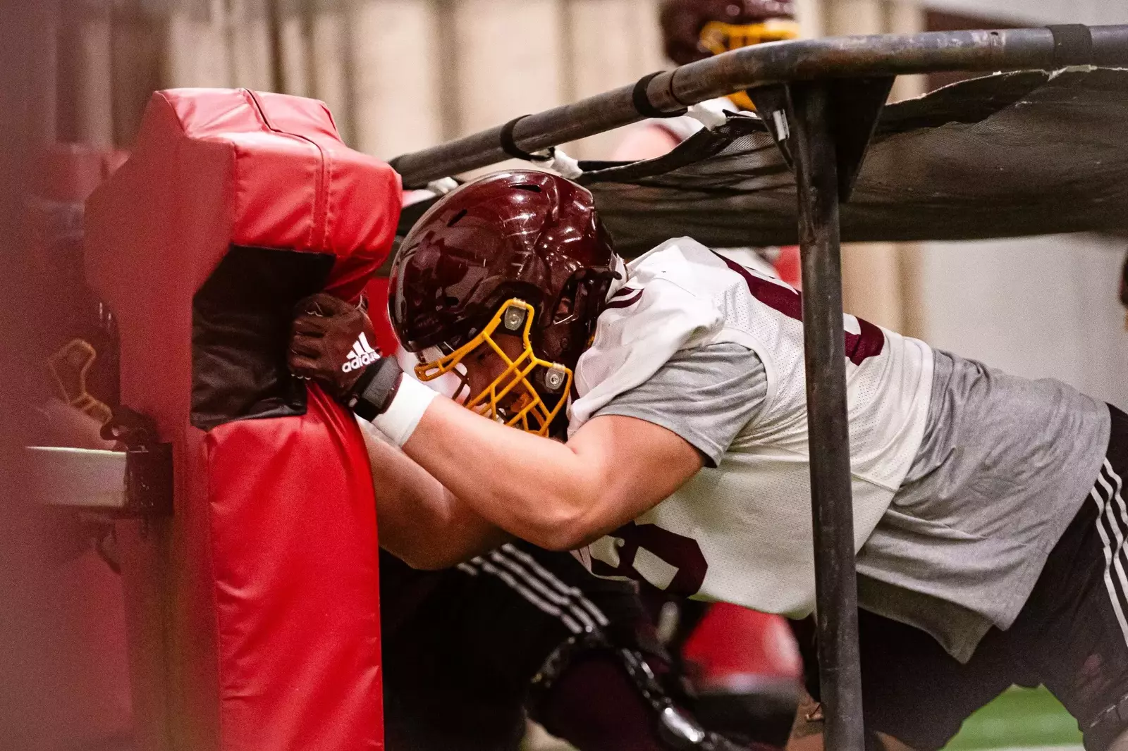 central-michigan-university
