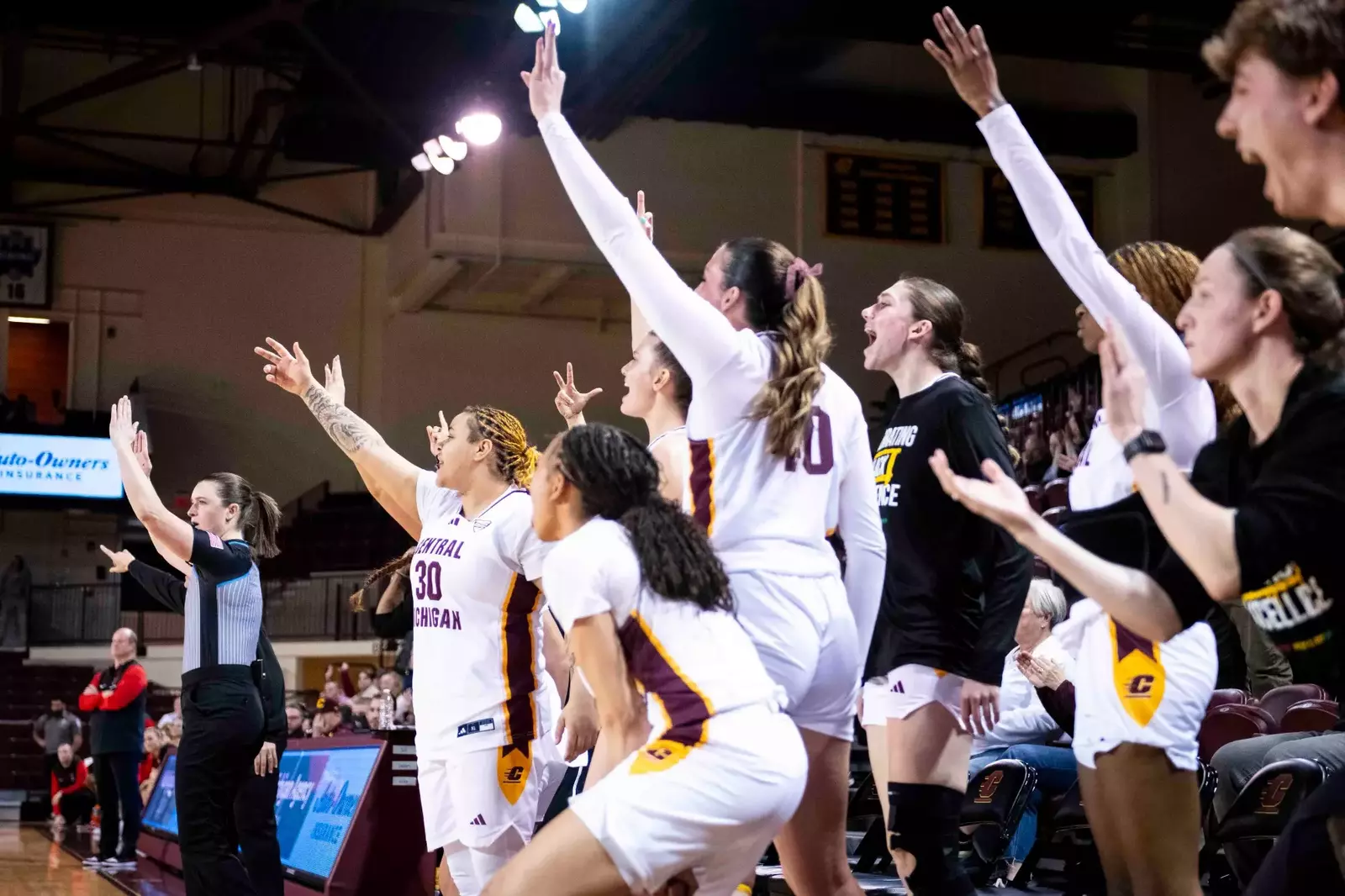 Central Michigan University central-michigan-university