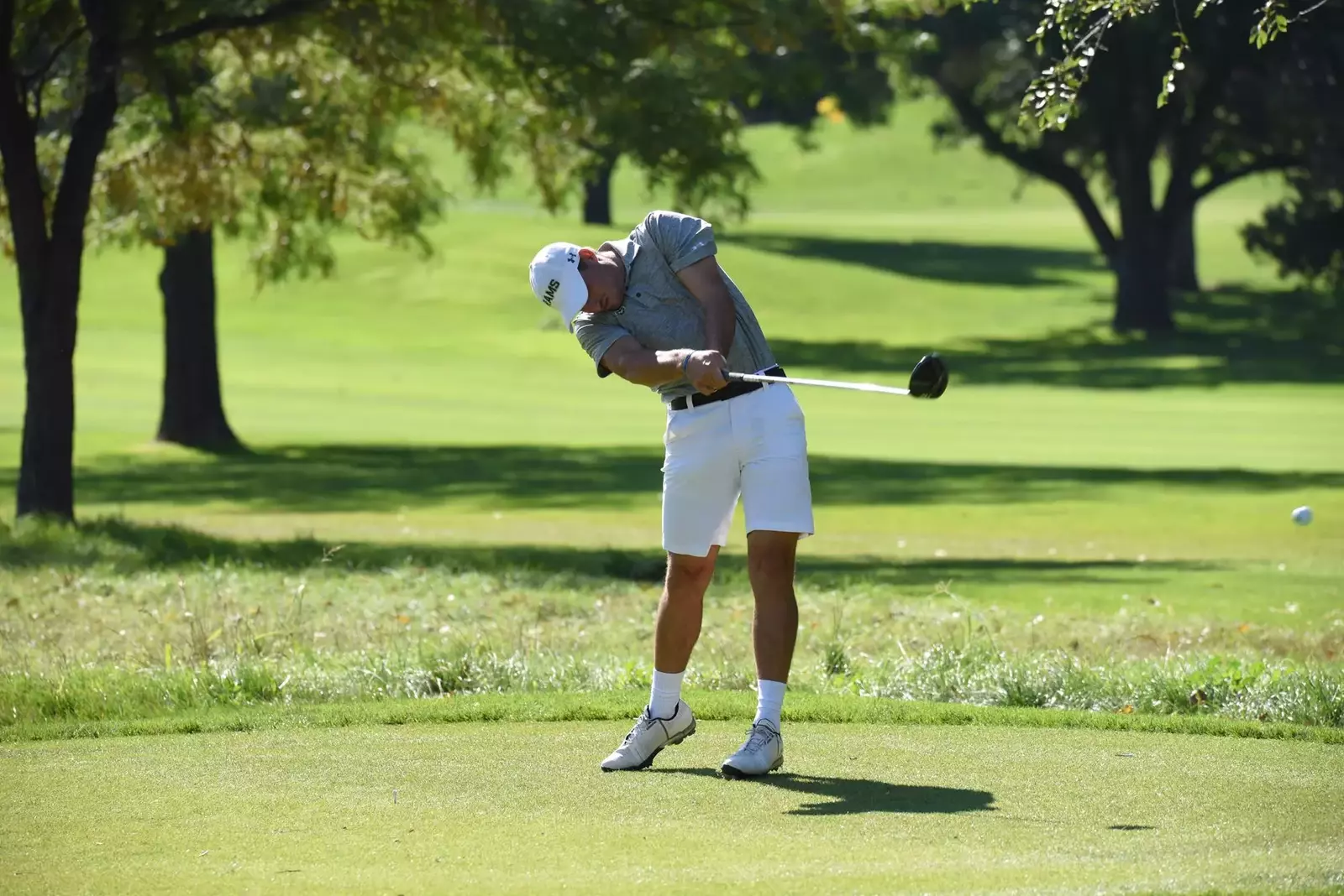 Colorado State University