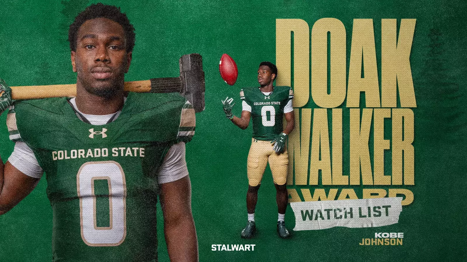 Colorado State University