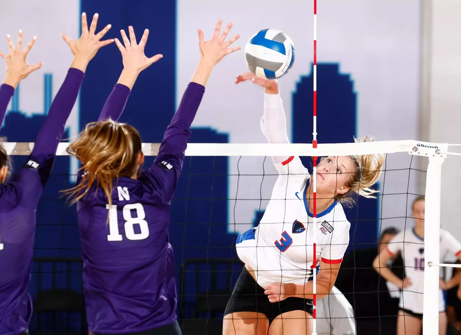 DePaul University Blue Demons Official Athletics site