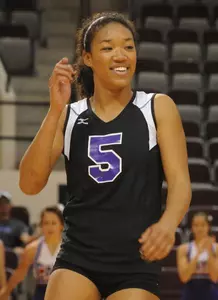 'Cats looking upward climb on roller coaster ride of 2008 Image