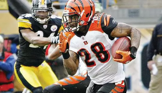 B_Scott-Bengals