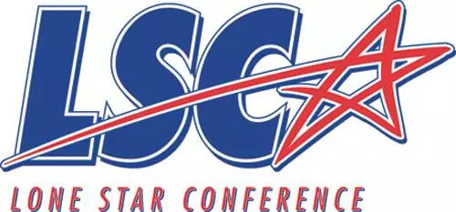 Q&A with LSC commissioner Image