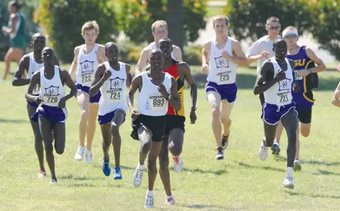 Wildcats back on course Image