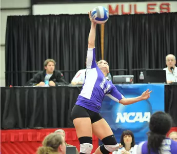 Lady Blues End Wildcats' Season Image