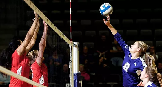 Wildcats Suffer Four-Set Loss At Commerce Image