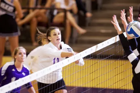 Wildcats Fall 3-0 To No. 11 Angelo State Image