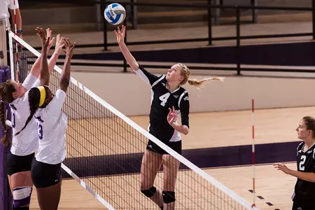 Mercier blocks eight shots in Wildcats’ 3-1 loss to SFA Image