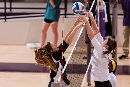Wildcats fall to Incarnate Word in season finale Image