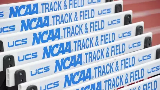 Track hurdles