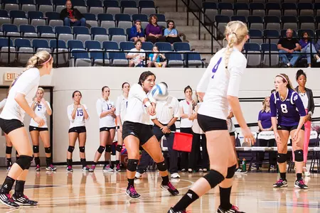 Texas A&M-Corpus Christi outlasts Wildcat volleyball, 3-1 Image