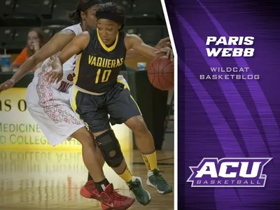 Paris Webb's Wildcat BasketBlog (July 25) Image