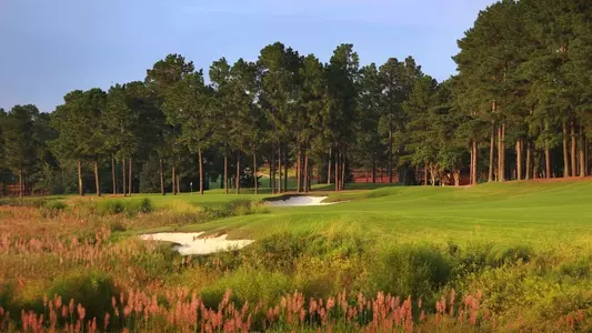 PinehurstNo8