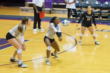 SFA survives a four-set war with Wildcat volleyball Image