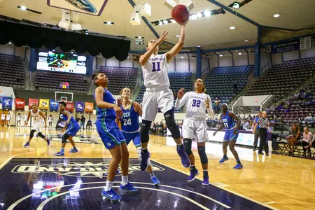 Williamson_Sara_FGCU