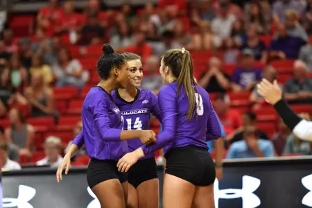 Volleyball drops first match at Borderland to N.M. State Image