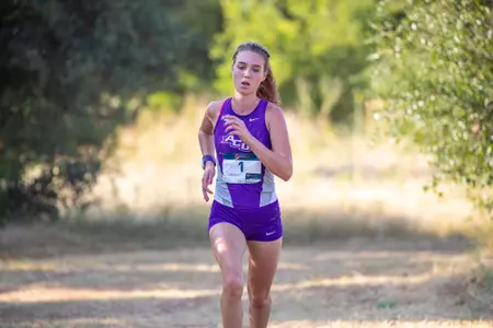 e in the image including any text. Filename: Gerlach_01