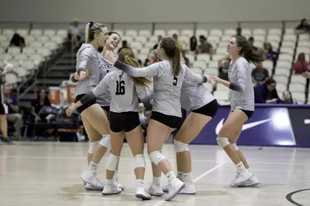Wildcats celebrate a point against Lamar