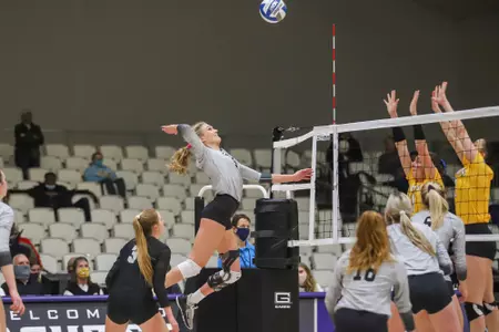 Kate Mueller attack against McNeese