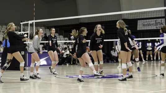 Wildcats celebrate a point against SFA