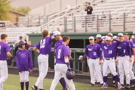 Baseball Celebration