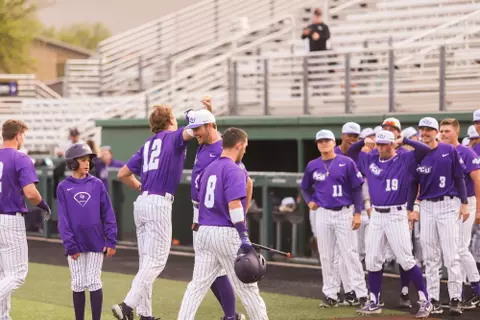 Baseball Celebration
