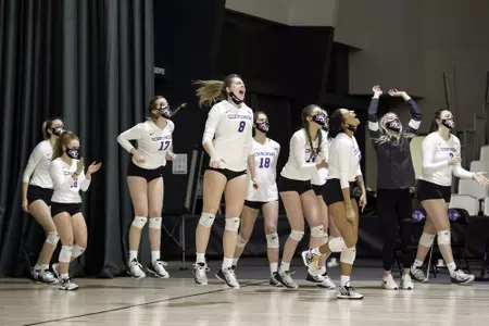 Wildcats bench celebrates a point against Nicholls