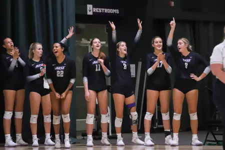 Bench celebrates a point during the Wildcat Classic