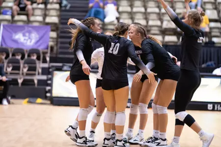 team celebration