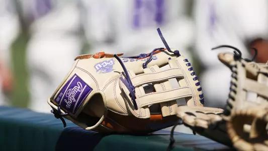Baseball Glove
