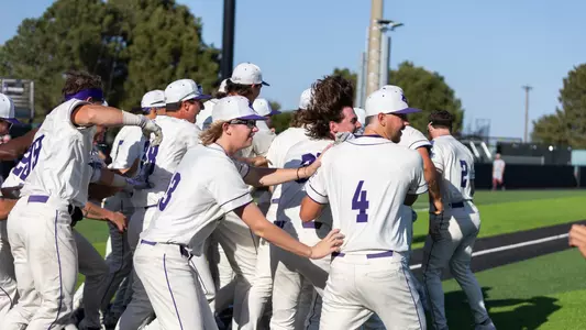 Baseball Celebrating