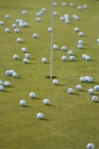 Men's Golf Looking for a Repeat Performance Image